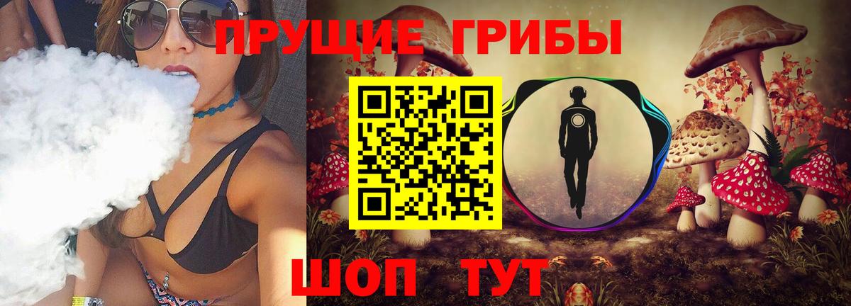 Корсаков  Галлюциногенные грибы мухоморы  Вход с VPN 